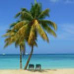 Discover8449 Avatar